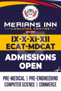 388df1221298731.67d1ead3e4392