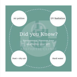 66e75f219107621.67ac82f4d9a40