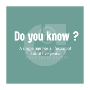 71be95219107621.67ac82f4e0177